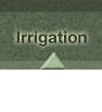 irrigation
